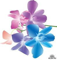 Еленка Еленка