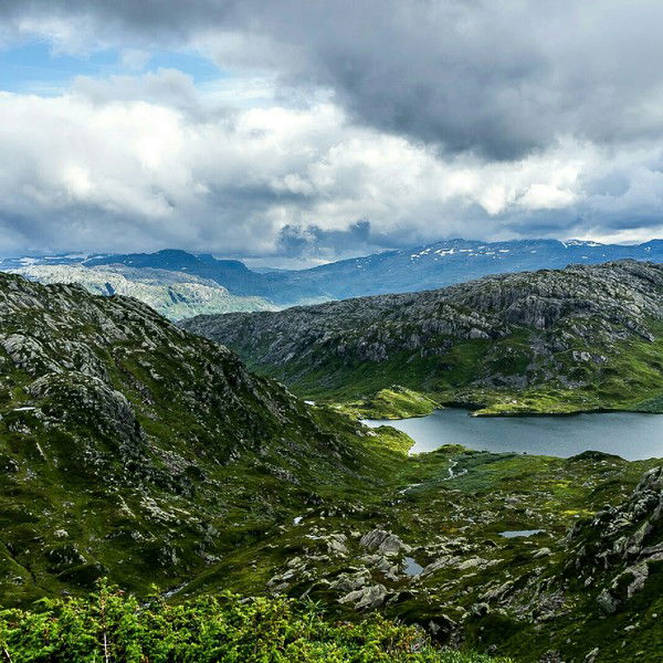 Надежда Зайцева