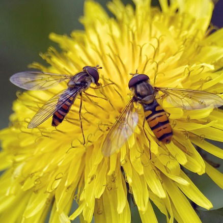 Тенториум В Актау 12Мкр,15Д,46Кв Саргулова Кунжаксы Саргуловна