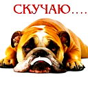 Аскар Султанов