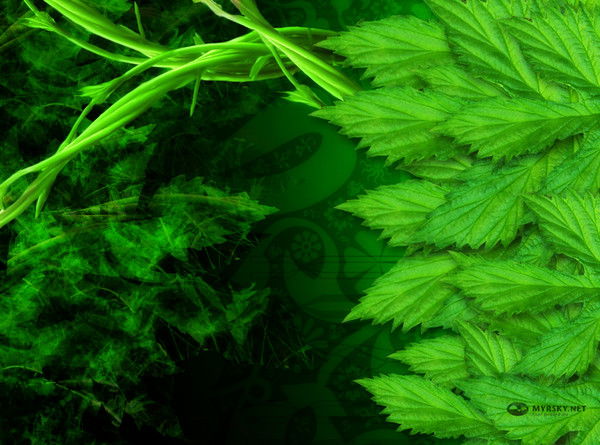 Виктор Зенков