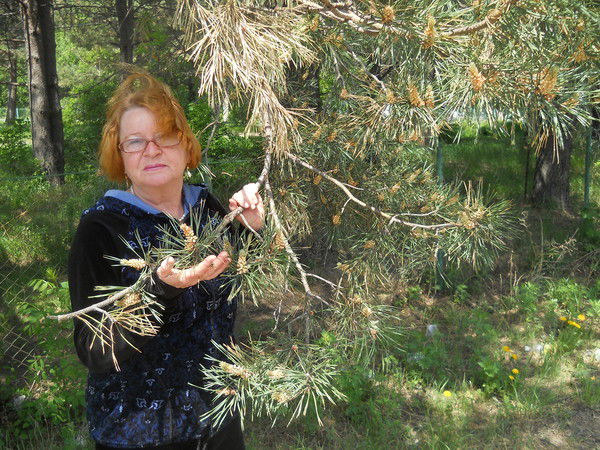 Наталья Мажарова