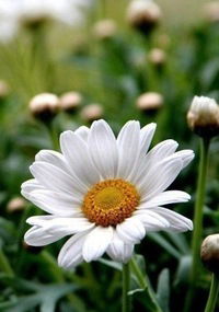 Марина Осипова