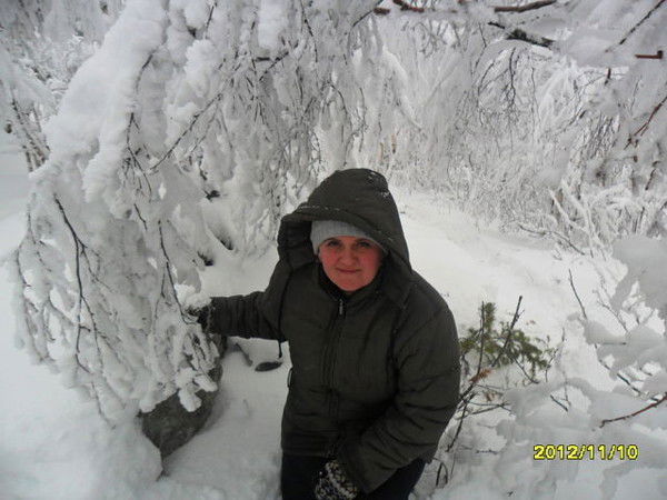 Анна Волокитина