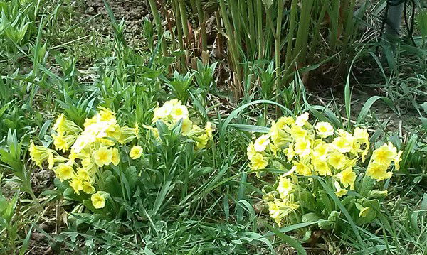 Иришка Терещенкова