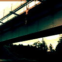 Илья Савельев