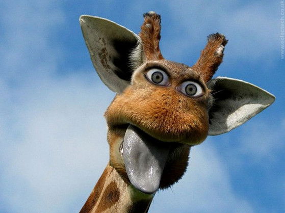 Абдрахман Даутов