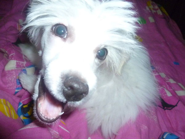 Марина Грибкова