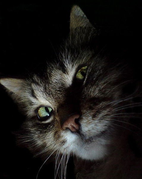 Александр Самарин