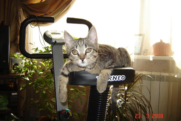 Андрей Харченко