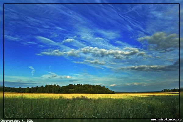 Зао Агрофирма Волга