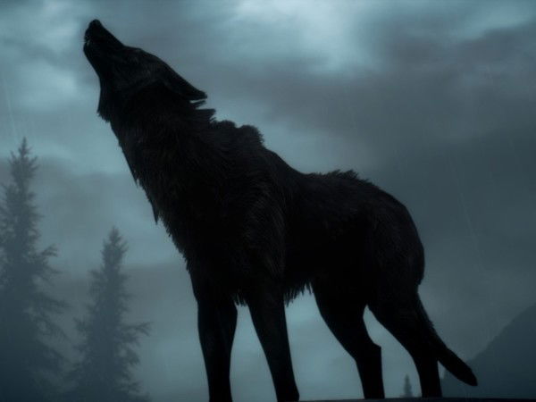 Андрей Лебединский