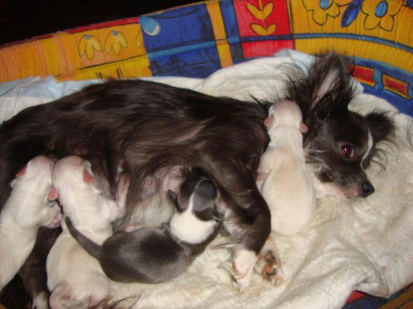 Сергей Иванов