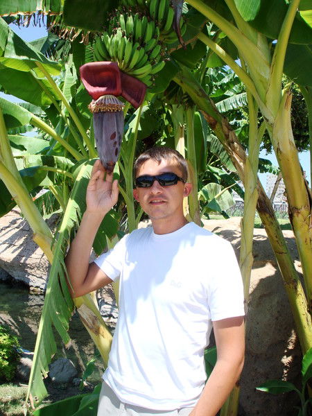 Андрей Оламенков