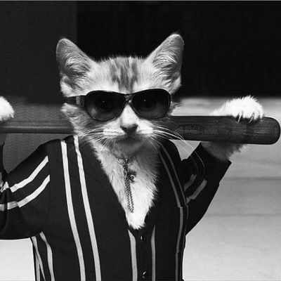 Роман Богданов