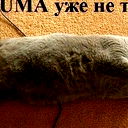 Ксения Сергеева