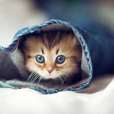 Арина Строева