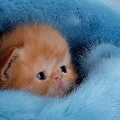 Юленька Ефремова