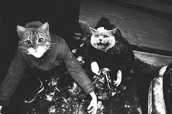 Николай Черноок