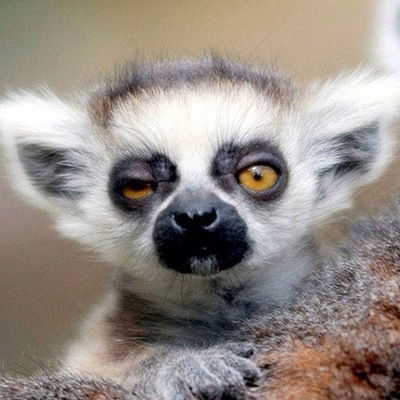 Виктория Петрова