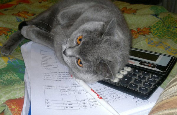 Ирина Гудкова