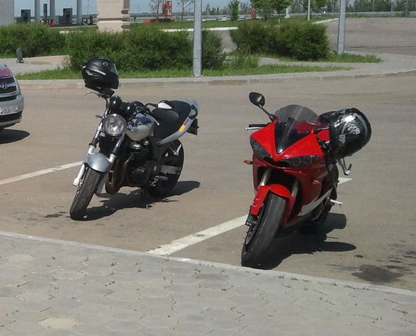 Евгений Кулешов