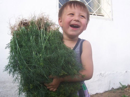 Гаврил Никифоров