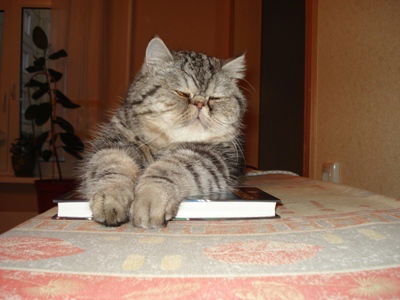 Дмитрий Ильковский