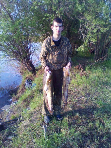 Николай Осадчий