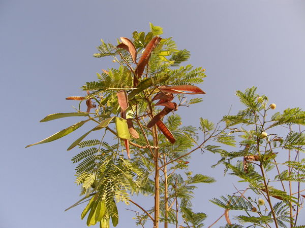 Евгений Чернышов