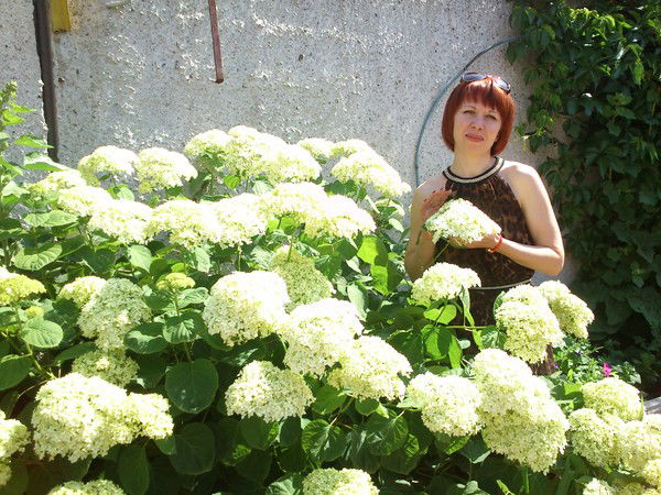 Людмила Нефедова