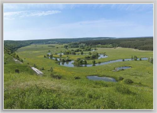 Галина Антоненко