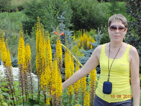 Татьяна Мамонтова