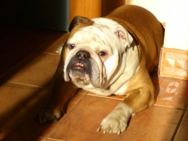 Иванова Маша