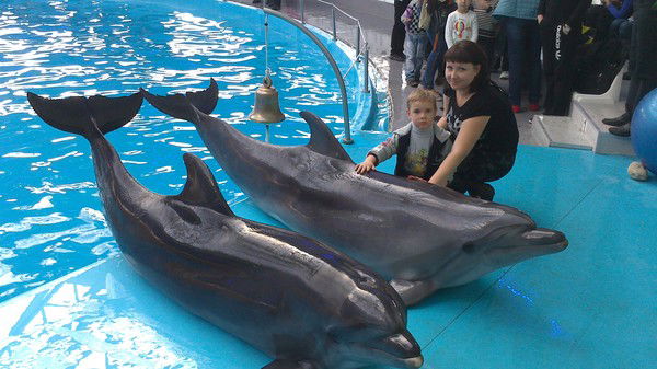 Анна Ковлева(Солдатова)