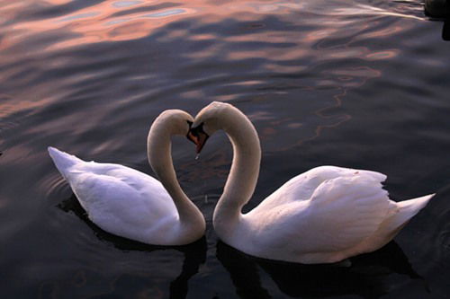 Нилуфар Тахтаева