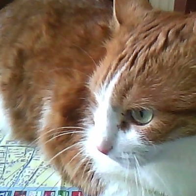 Слава Зайцев