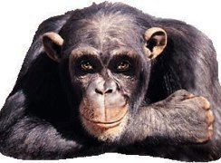 Эдиге Исмагулов