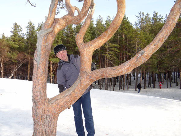 Андрей Булыгин