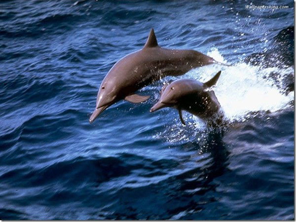 Юра Яблоков