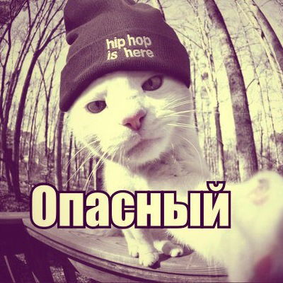 Димка Белов