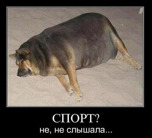 Марина Галкина