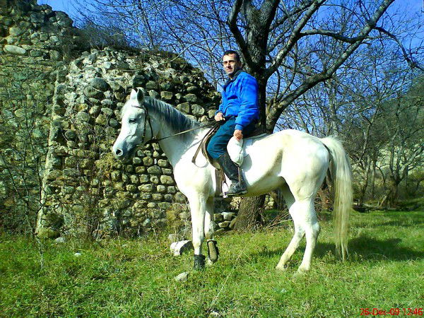 Vladimir Mardaleishvili