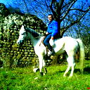 Vladimir Mardaleishvili