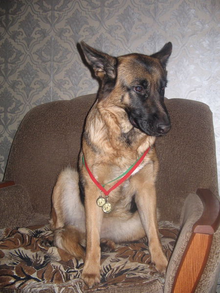 Ирина Паршукова