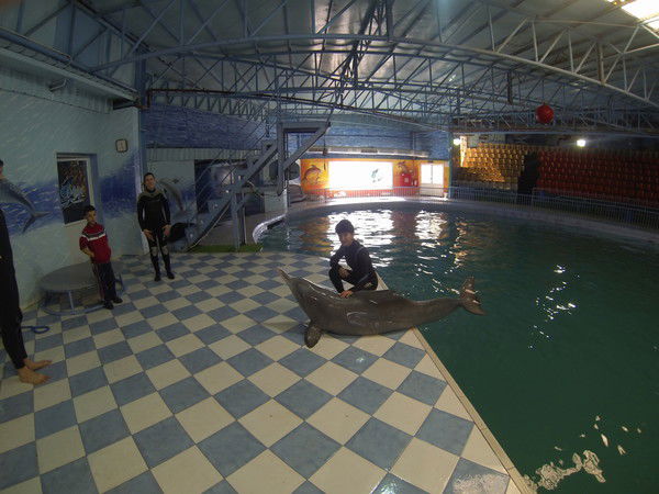 Светлана Антонюк