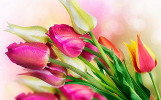 Марина Ломакина