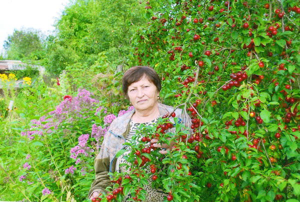 Анна Богомолова