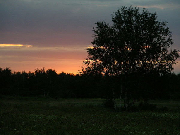 Дархан Каримов