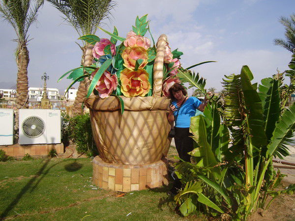 Светлана Жердева